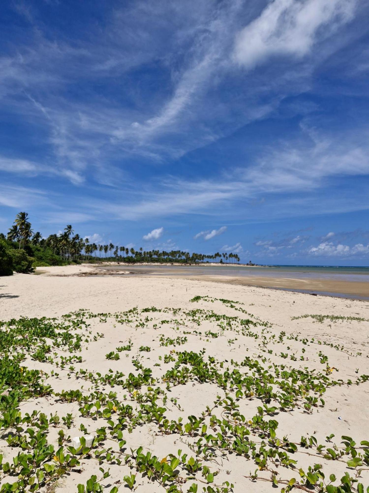 Msflats Paripueira Praia Wifi Ar Cozinha E Varanda Nascente C Rede エクステリア 写真