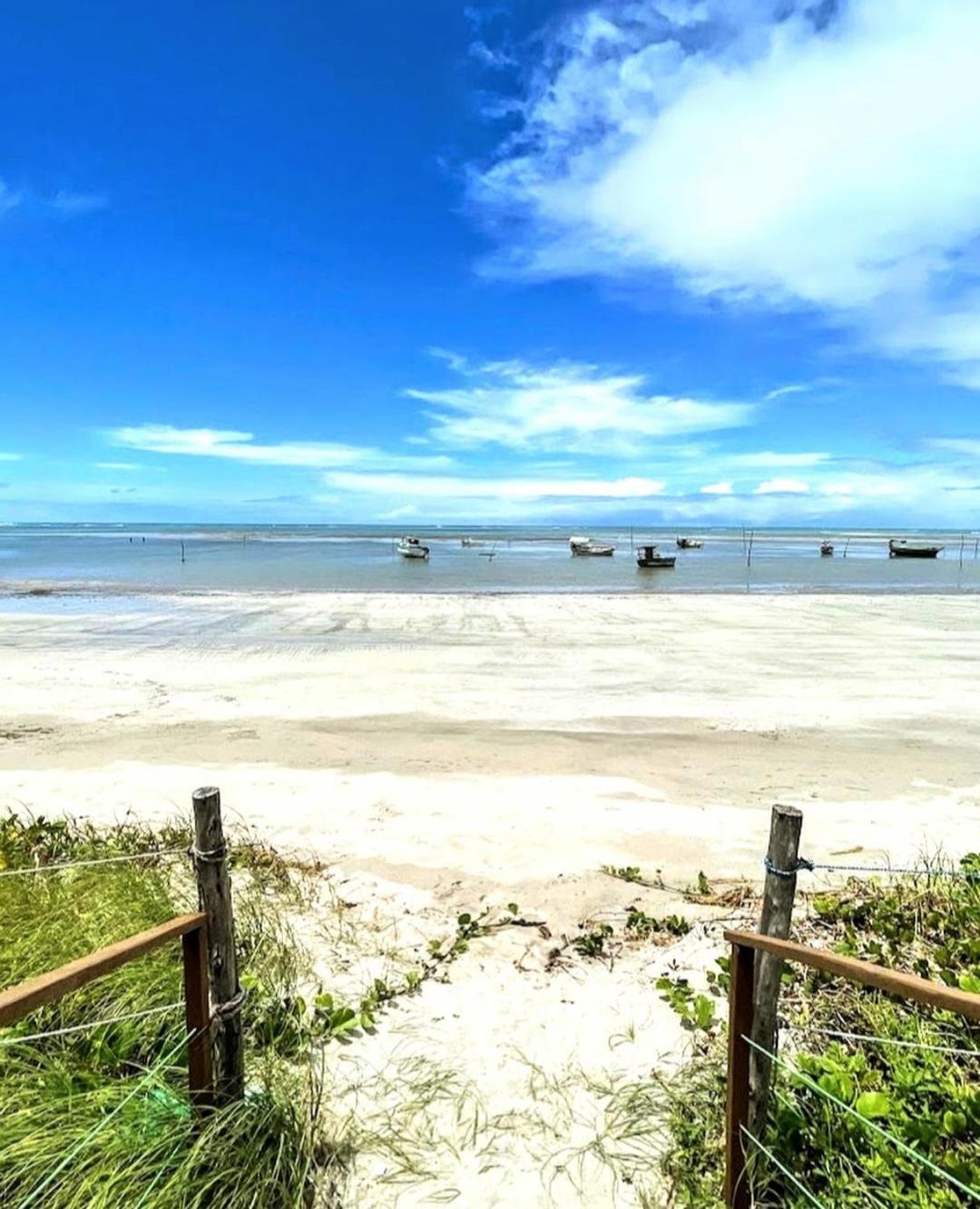 Msflats Paripueira Praia Wifi Ar Cozinha E Varanda Nascente C Rede エクステリア 写真
